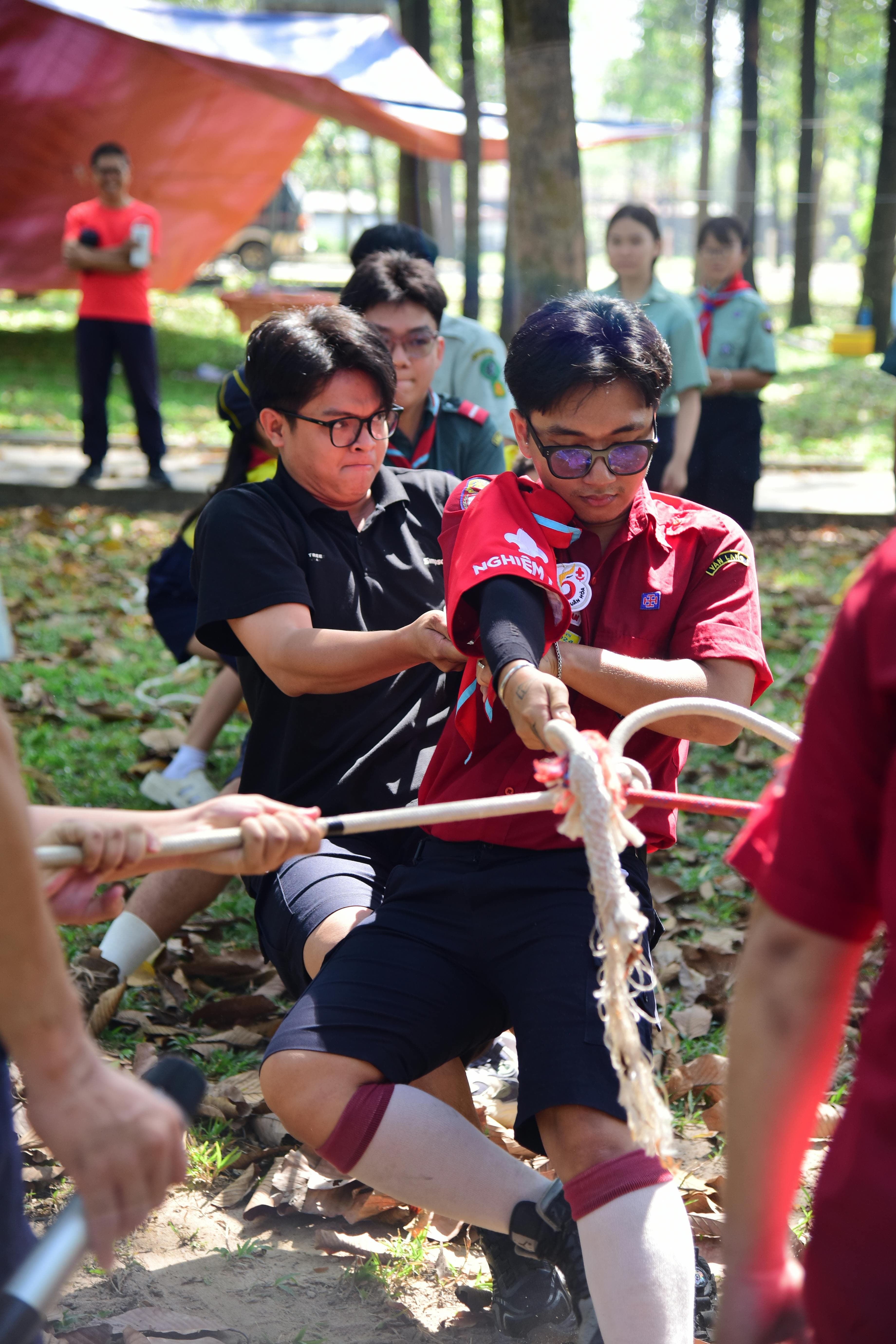Structured sport and physical activity